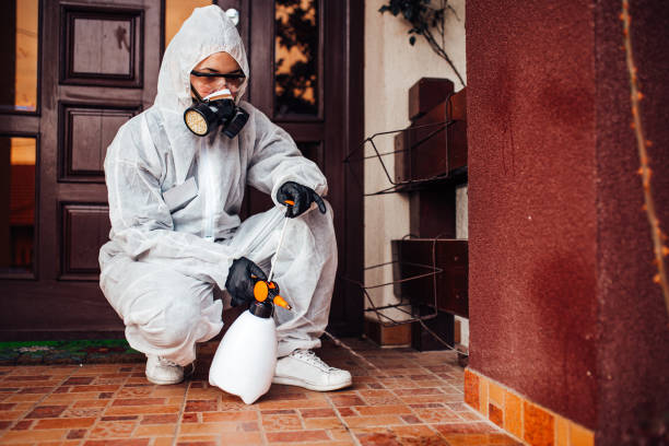 Reliable Bed Bug Control contractor in Granite Bay, CA by Nex Pest Control